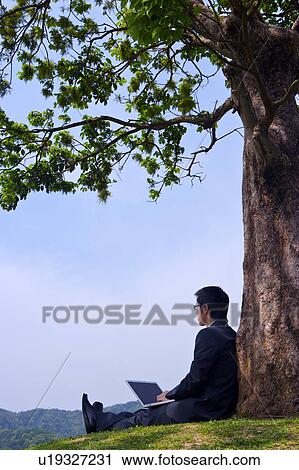 Young businessman leaning against tree with laptop View Large Photo Image Stock Image - Young businessman leaning against tree with laptop. Fotosearch