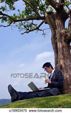 Young businessman leaning against tree using laptop View Large Photo Image Stock Photography - Young businessman leaning against tree using laptop. Fotosearch