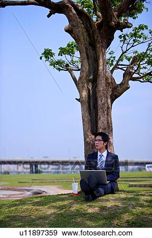 Young businessman with laptop leaning against tree View Large Photo Image Stock Photo - Young businessman with laptop leaning against tree. Fotosearch