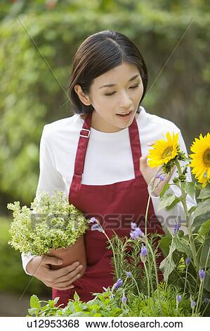 Stock Photo - Young woman planting flowers and holding potted plant. Fotosearch