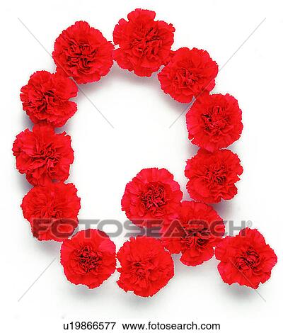 Character, Characters, Rose, English letter View Large Photo Image Stock Photo - Character, Characters, Rose, English letter. Fotosearch