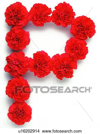 Character, English letter, Characters View Large Photo Image Picture - Character, English letter, Characters. Fotosearch