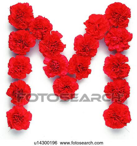 Character, English letter, Rose View Large Photo Image Stock Photograph - Character, English letter, Rose. Fotosearch