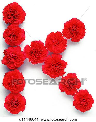 Character, Rose, Characters View Large Photo Image Stock Image - Character, Rose, Characters. Fotosearch