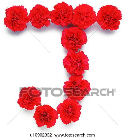 Characters, Character, English letter, Rose View Large Photo Image Stock Image - Characters, Character, English letter, Rose. Fotosearch