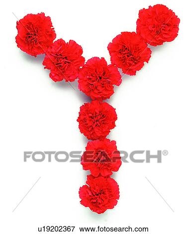 Characters, Character, English letter View Large Photo Image Stock Photo - Characters, Character, English letter. Fotosearch