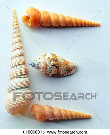 Stock Photography - Characters, Character, English letter. Fotosearch