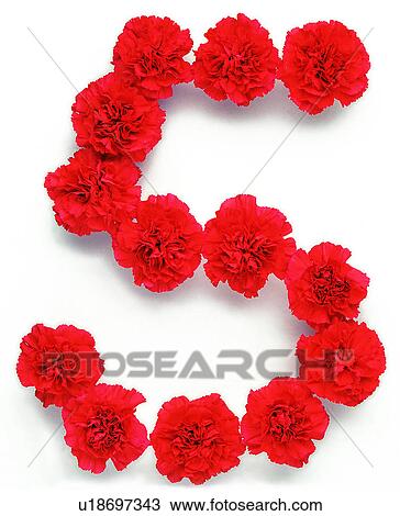 Characters, Number, Character, Rose View Large Photo Image Stock Image - Characters, Number, Character, Rose. Fotosearch