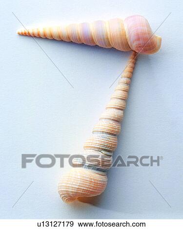 Characters, Number, Character, Shell View Large Photo Image Stock Photo - Characters, Number, Character, Shell. Fotosearch