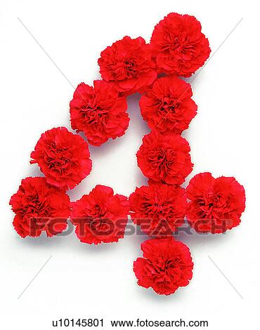 Characters, Number, Rose, Character View Large Photo Image Stock Image - Characters, Number, Rose, Character. Fotosearch