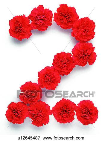 Characters, Number, Rose, Character View Large Photo Image Stock Photo - Characters, Number, Rose, Character. Fotosearch