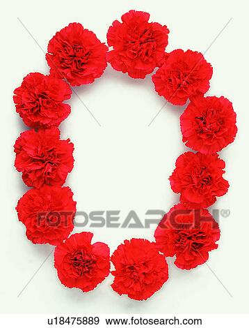 Characters, Number, Rose, Character View Large Photo Image Stock Photo - Characters, Number, Rose, Character. Fotosearch