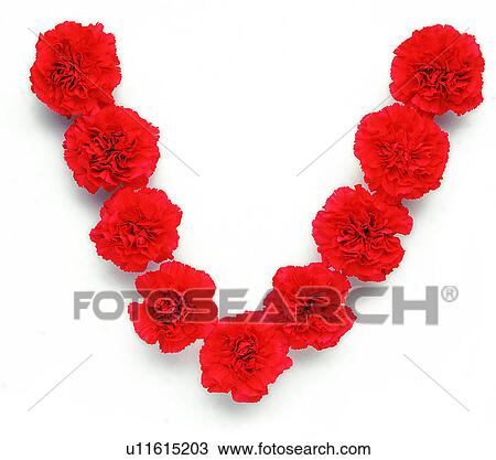Stock Image - Characters, Rose, English letter, Character. Fotosearch