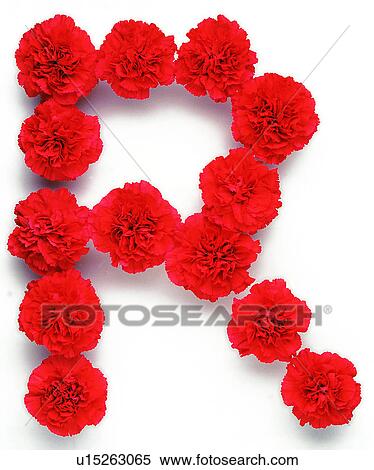Characters, Rose, English letter, Character View Large Photo Image Stock Photography - Characters, Rose, English letter, Character. Fotosearch
