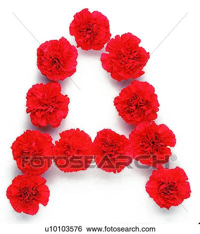 English letter, Character, Characters, Rose View Large Photo Image Stock Photograph - English letter, Character, Characters, Rose. Fotosearch