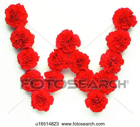 English letter, Characters, Character, Rose View Large Photo Image Stock Image - English letter, Characters, Character, Rose. Fotosearch
