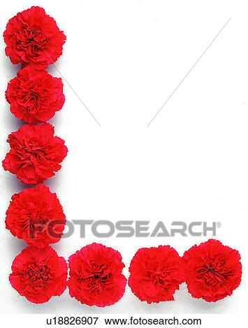 English letter, Characters, Rose, Character View Large Photo Image Stock Photo - English letter, Characters, Rose, Character. Fotosearch