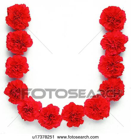 Stock Image - English letter, Rose, Characters, Character. Fotosearch