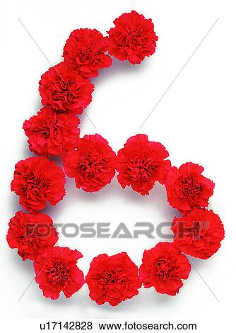 Number, Characters, Rose, Character View Large Photo Image Stock Photo - Number, Characters, Rose, Character. Fotosearch