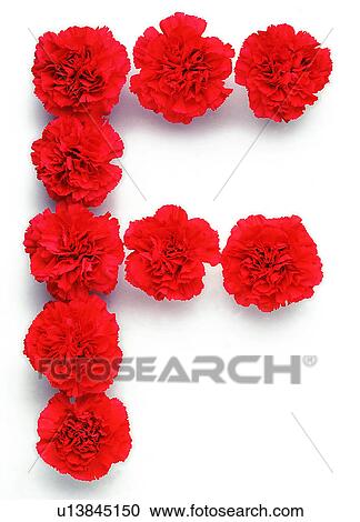 Rose, Characters, Character, English letter View Large Photo Image Stock Image - Rose, Characters, Character, English letter. Fotosearch