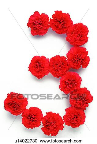 Rose, Characters, Number, Character View Large Photo Image Stock Image - Rose, Characters, Number, Character. Fotosearch