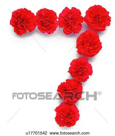 Stock Image - Rose, Characters, Number, Character. Fotosearch