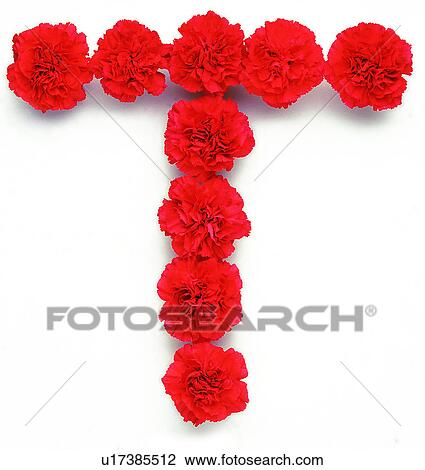 Rose, English letter, Character, Characters View Large Photo Image Stock Image - Rose, English letter, Character, Characters. Fotosearch