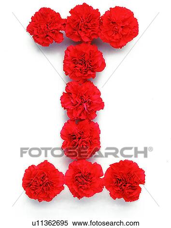 Stock Photography - Rose, English letter, Character, Characters. Fotosearch