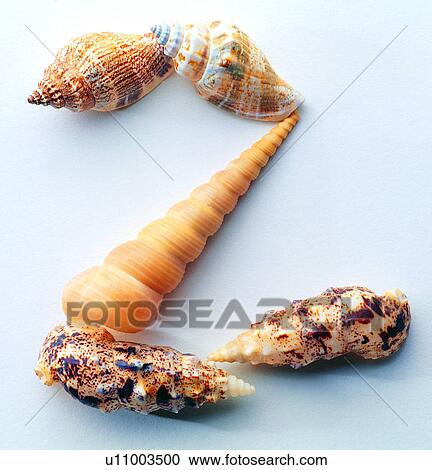 Stock Image - Shell, Character, Characters, Number. Fotosearch