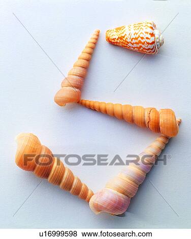 Stock Photo - Shell, Character, Characters, Number, Shells. Fotosearch