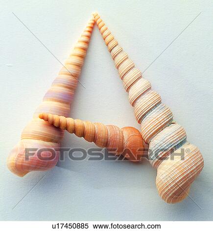 Stock Photography - Shell, Character, Characters, Shells, English letter. Fotosearch