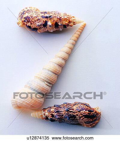 Stock Photography - Shell, Characters, Shells, English letter. Fotosearch