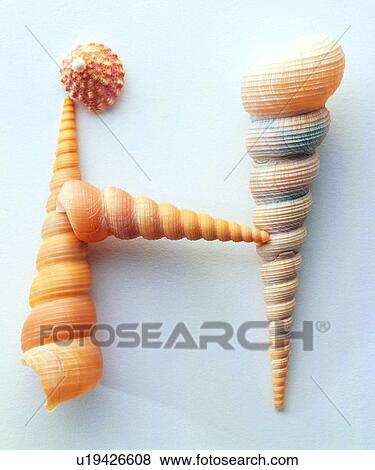 Shell, Shells, English letter, Character View Large Photo Image Stock Photo - Shell, Shells, English letter, Character. Fotosearch
