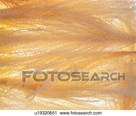 background pattern, grand, yellow, background, material View Large Photo Image Stock Image - background pattern, grand, yellow, background, material. Fotosearch