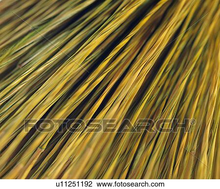 Stock Image - brown, material, background pattern, modern, plants, grass. Fotosearch