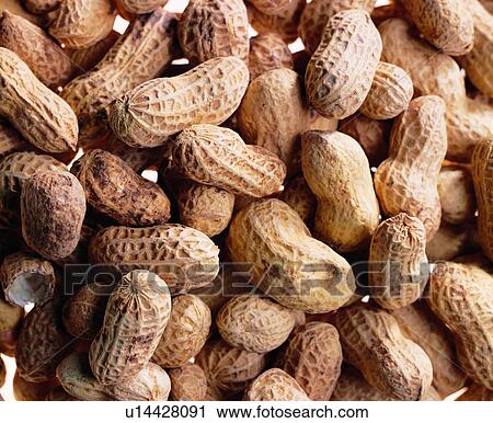 Stock Image - brown, modern, food, background, grand, materials, peanut. Fotosearch