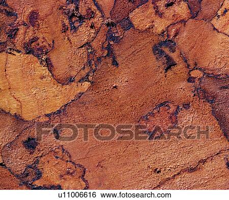 grand, background pattern, wood grain, background, brown, modern View Large Photo Image Stock Photograph - grand, background pattern, wood grain, background, brown, modern. Fotosearch