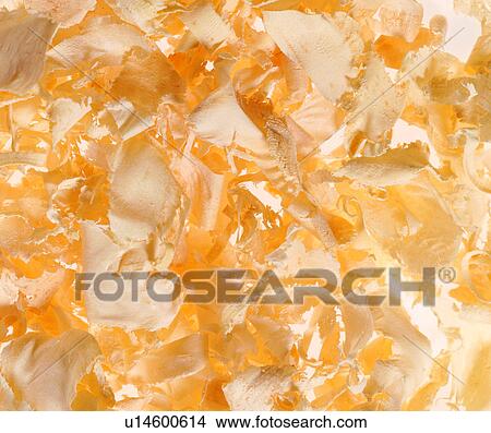grand, background, wood grain, material, materials View Large Photo Image Picture - grand, background, wood grain, material, materials. Fotosearch