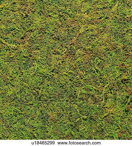 Stock Photo - green, modern, materials, material, grand. Fotosearch