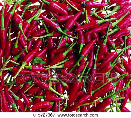 Stock Photo - material, chilli, food, modern, background, materials, background pattern. Fotosearch