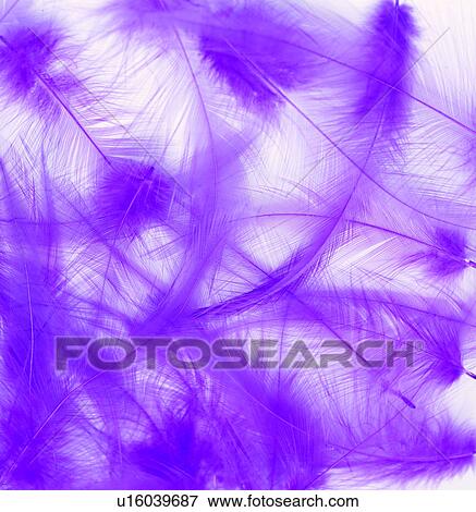 material, class, background, purple, materials, grand View Large Photo Image Stock Photo - material, class, background, purple, materials, grand. Fotosearch