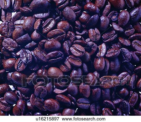 materials, food, brown, modern, grand, coffee bean View Large Photo Image Stock Photo - materials, food, brown, modern, grand, coffee bean. Fotosearch