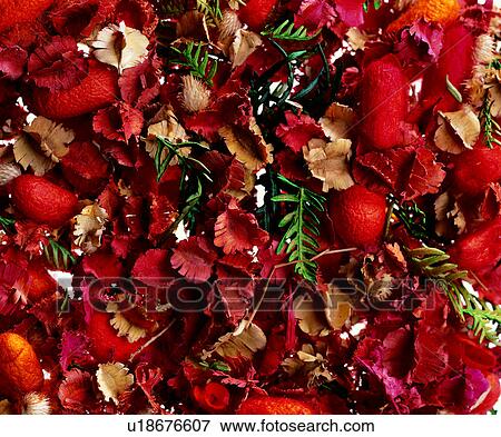Stock Photo - red, dried flowers, modern, background, background pattern. Fotosearch