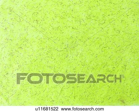 background, paper, paper, texture, green View Large Photo Image Stock Image - background, paper, paper, texture, green. Fotosearch