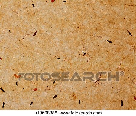 background, paper, paper, yellow, texture, brown View Large Photo Image Stock Photography - background, paper, paper, yellow, texture, brown. Fotosearch
