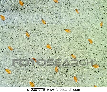 paper, background, grey, texture, paper View Large Photo Image Stock Image - paper, background, grey, texture, paper. Fotosearch