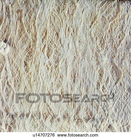 Stock Photograph - paper, background, grey, texture, paper. Fotosearch
