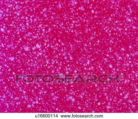 paper, background, red, texture, paper View Large Photo Image Picture - paper, background, red, texture, paper. Fotosearch