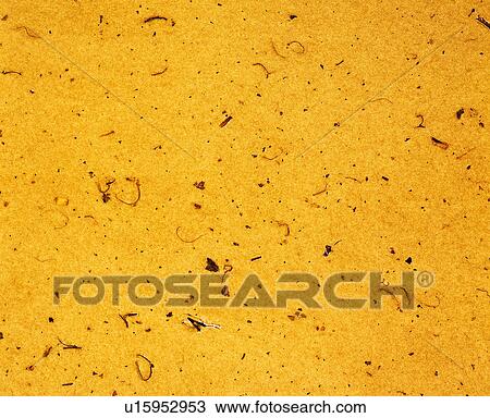 paper, texture, yellow, paper, background View Large Photo Image Stock Image - paper, texture, yellow, paper, background. Fotosearch