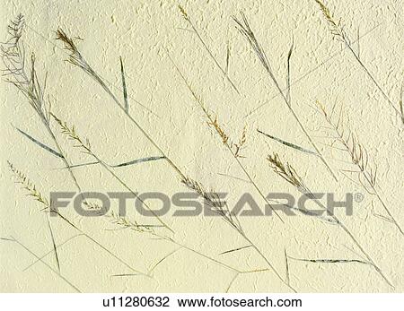 Stock Image - paper, yellow, cream-colored, off-white, background, beige, buff. Fotosearch
